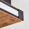 Sigersvik lampa sufitowa LED kolory naturalne, czarny, 1-punktowy
