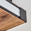 Sigersvik lampa sufitowa LED kolory naturalne, czarny, 1-punktowy