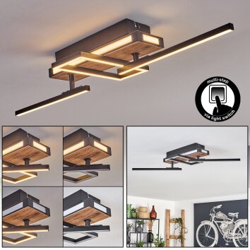 Sigersvik lampa sufitowa LED kolory naturalne, czarny, 1-punktowy