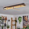 Cascada lampa sufitowa LED mosiądz, kolory naturalne, czarny, 1-punktowy