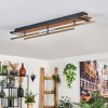 Cascada lampa sufitowa LED mosiądz, kolory naturalne, czarny, 1-punktowy