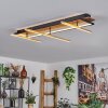 Cascada lampa sufitowa LED mosiądz, kolory naturalne, czarny, 1-punktowy