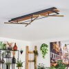 Cascada lampa sufitowa LED mosiądz, kolory naturalne, czarny, 1-punktowy