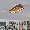 Cascada lampa sufitowa LED mosiądz, kolory naturalne, czarny, 1-punktowy