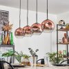 Ripoll Lampa wisząca Przezroczysty, W kolorze miedzi, 4-punktowe