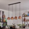 Ripoll Lampa wisząca Przezroczysty, W kolorze miedzi, 4-punktowe