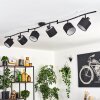 Alsen Lampa sufitowa Czarny, 6-punktowe