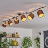 Alsen Lampa sufitowa Czarny, 6-punktowe