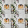 Lauden Lampa wisząca W kolorze bursztynu, Przezroczysty, 5-punktowe