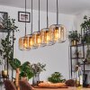 Lauden Lampa wisząca W kolorze bursztynu, Przezroczysty, 5-punktowe