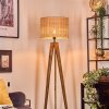 Cavaca lampa stojąca, lampka do czytania kolory naturalne, czarny, 1-punktowy