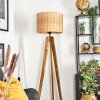 Cavaca lampa stojąca, lampka do czytania kolory naturalne, czarny, 1-punktowy
