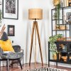 Cavaca lampa stojąca, lampka do czytania kolory naturalne, czarny, 1-punktowy
