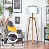 Bassagoda lampa stojąca, lampka do czytania kolory naturalne, 1-punktowy