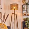 Cando lampa stojąca, lampka do czytania kolory naturalne, 1-punktowy