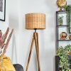 Cavaca lampa stojąca, lampka do czytania kolory naturalne, 1-punktowy