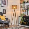 Cando Lampa stojąca, Lampa do czytania Ecru, 1-punktowy