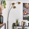 Koyoto Lampa stojąca Czarny, 3-punktowe Koyoto Lampa stojąca Czarny, 3-punktowe