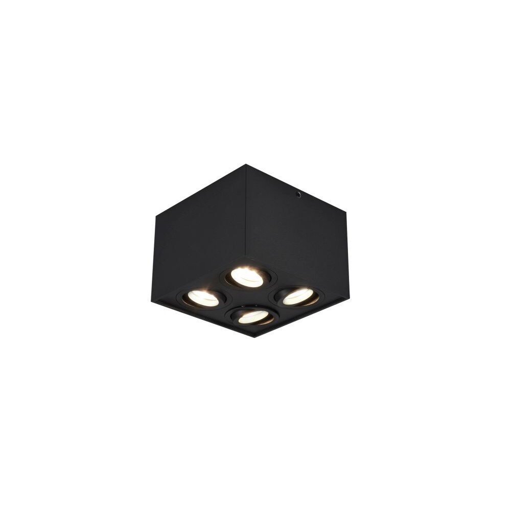 Lampa Sufitowa Trio Leuchten BISCUIT Czarny, 4-punktowe main product photo