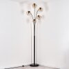 Ripoll Lampa stojąca Czarny, 5-punktowe
