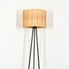 Cavaca lampa stojąca, lampka do czytania czarny, 1-punktowy