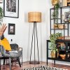 Cavaca lampa stojąca, lampka do czytania czarny, 1-punktowy