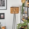 Cando lampa stojąca, lampka do czytania czarny, 1-punktowy
