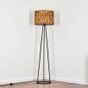 Cando lampa stojąca, lampka do czytania czarny, 1-punktowy