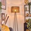 Cando lampa stojąca, lampka do czytania czarny, 1-punktowy