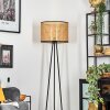 Cando lampa stojąca, lampka do czytania czarny, 1-punktowy
