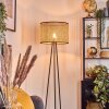 Cando lampa stojąca, lampka do czytania czarny, 1-punktowy