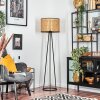Cando lampa stojąca, lampka do czytania czarny, 1-punktowy