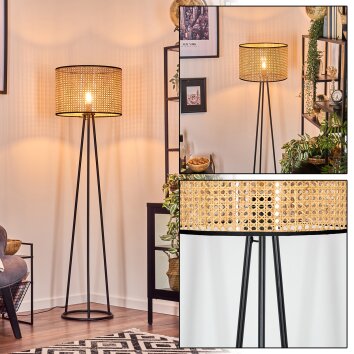 Cando lampa stojąca, lampka do czytania czarny, 1-punktowy