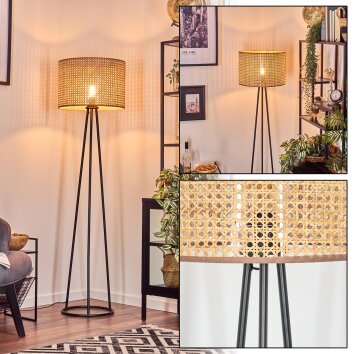 Barcos lampa stojąca, lampka do czytania czarny, 1-punktowy