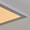 Colminy Lampa Sufitowa LED Srebrny, 1-punktowy