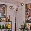 Ripoll Lampa stojąca Przydymiony, 3-punktowe