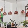 Ripoll Lampa wisząca Przezroczysty, W kolorze miedzi, 4-punktowe