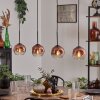 Ripoll Lampa wisząca Przezroczysty, W kolorze miedzi, 4-punktowe