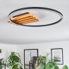 Pompu lampa sufitowa LED kolory naturalne, czarny, 1-punktowy