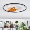 Pompu lampa sufitowa LED kolory naturalne, czarny, 1-punktowy