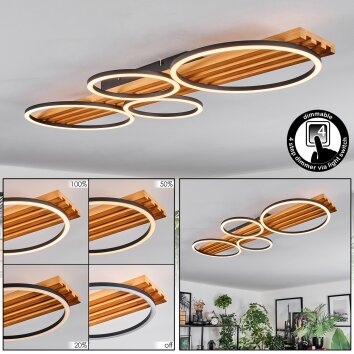 Pompu lampa sufitowa LED kolory naturalne, czarny, 1-punktowy