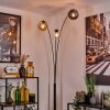 Gastor lampa stojąca bursztynowy, przezroczysty, przydymiony, 3-punktowe