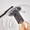 Gastor Lampa stojąca W kolorze bursztynu, Przezroczysty, Przydymiony, 3-punktowe