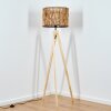 Cando lampa stojąca kolory naturalne, 1-punktowy