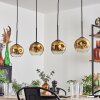 Ripoll Lampa wisząca Złoty, Przezroczysty, 4-punktowe
