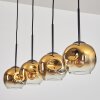 Ripoll Lampa wisząca Złoty, Przezroczysty, 4-punktowe
