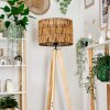Cando lampa stojąca kolory naturalne, 1-punktowy