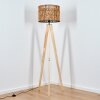 Cando lampa stojąca kolory naturalne, 1-punktowy