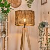 Cando lampa stojąca kolory naturalne, 1-punktowy