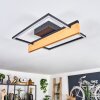 Pompu lampa sufitowa LED kolory naturalne, czarny, 1-punktowy